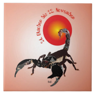 Skorpion Keramik Fotofliese Fliese