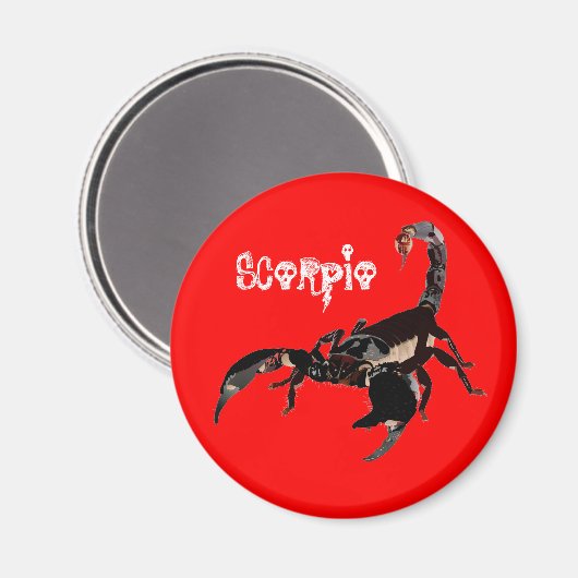 Skorpion Magnet (Vorderseite/Rückseite)
