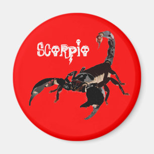 Skorpion Magnet