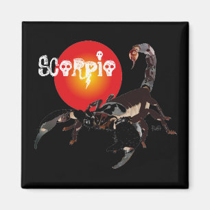 Skorpion Magnet