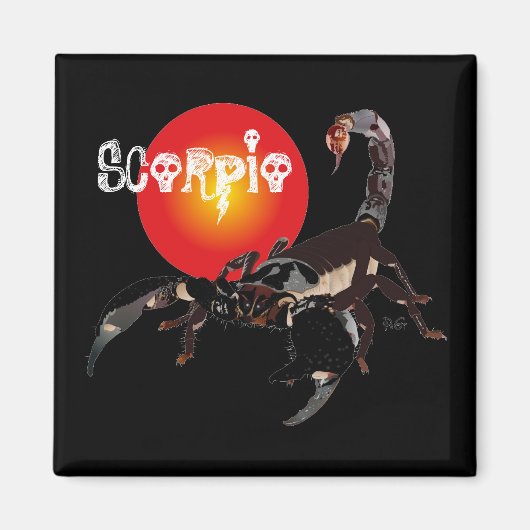 Skorpion Magnet (Vorne)