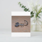 Skorpion Postkarte (Stehend Vorderseite)