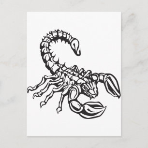 Skorpion Postkarte