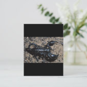 Skorpion Postkarte (Stehend Vorderseite)