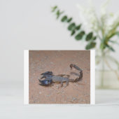 Skorpion Postkarte (Stehend Vorderseite)