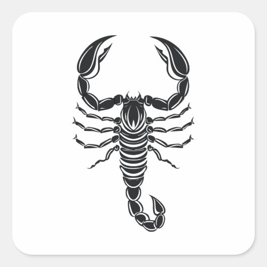 Skorpion Quadratischer Aufkleber (Vorderseite)