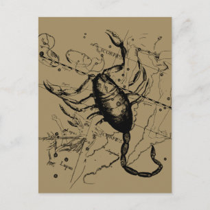 Skorpion-Sternbild Hevelius um 1690 Vintage Postkarte