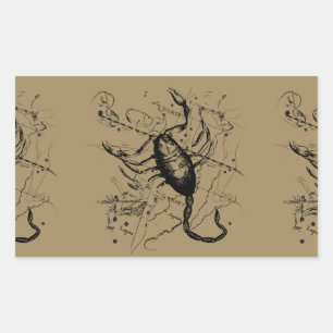 Skorpion-Sternbild Hevelius um 1690 Vintage Rechteckiger Aufkleber