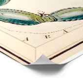 Skorpion Sternbild Kunstdruck Antik Poster (Ecke)