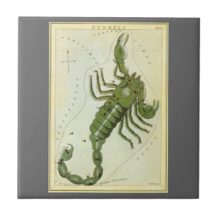 Skorpion, Vintage Konstellation Urania's Spiegel Fliese