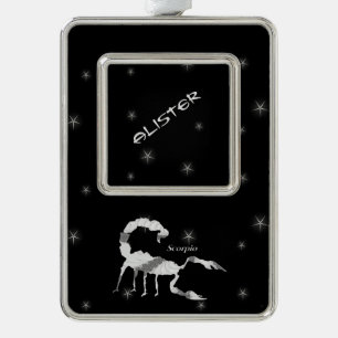 Skorpion Zodiac Design Leere Innen Rahmen-Ornament Silber
