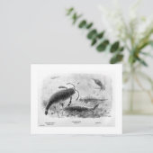 Skorpione-Kunst Postkarte (Stehend Vorderseite)