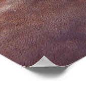 Skorpionfisch auf einem Schwamm Poster (Ecke)