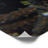 Skorpionfisch in einer Schüssel Poster (Ecke)