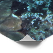 Skorpionfisch in einer Schüssel Poster (Ecke)
