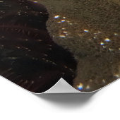 Skorpionfisch Stare-down Poster (Ecke)