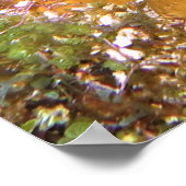 Skorpionfisch-Verstecken Poster (Ecke)