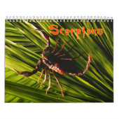 Skorpions-Wandkalender Kalender (Titelbild)