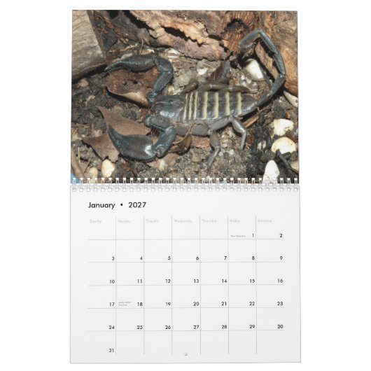 Skorpions-Wandkalender Kalender (Jan 2027)