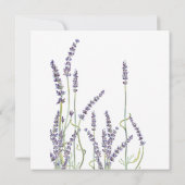 Skript französischer einladung (Rückseite)