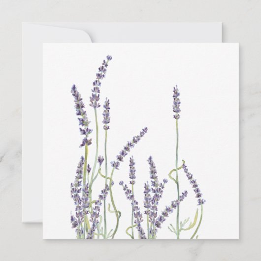 Skript französischer einladung (Rückseite)