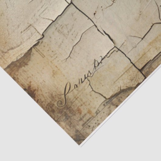 Skript Seidenpapier (Ausschnitt)