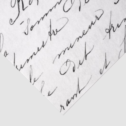 Skriptentpackung Seidenpapier (Ausschnitt)