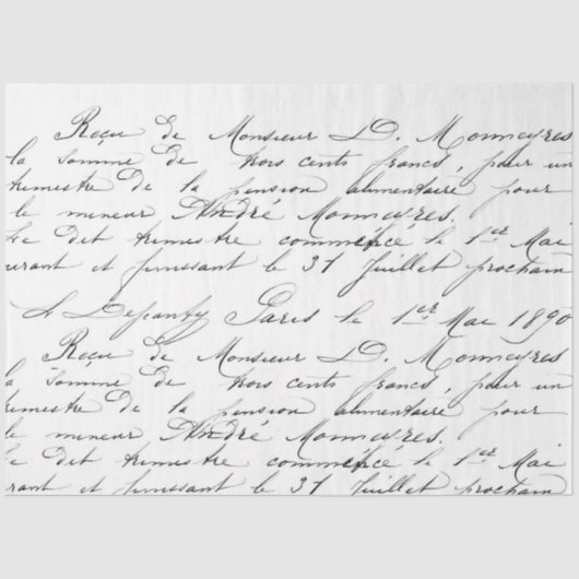 Skriptentpackung Seidenpapier (Vorderseite)