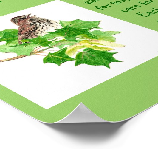 Skriptur macht sich keine Sorgen mit Song Sparrow Poster (Ecke)