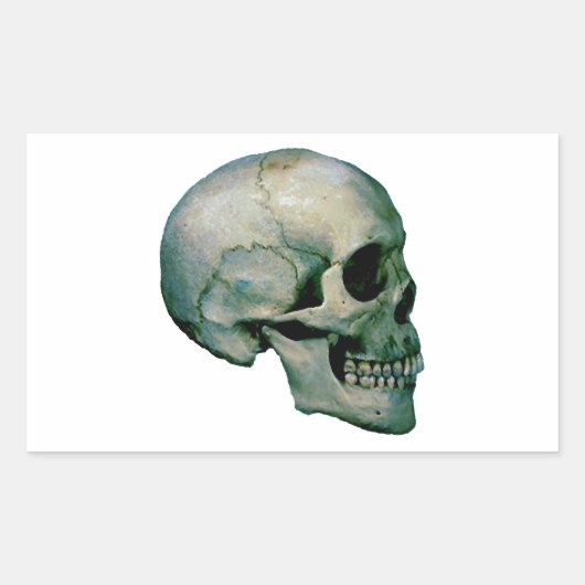 Skull aus dem Profil Rechteckiger Aufkleber (Vorderseite)