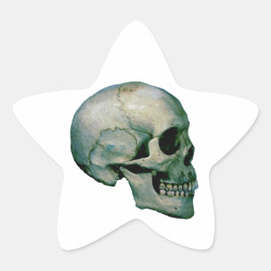 Skull aus dem Profil Stern-Aufkleber