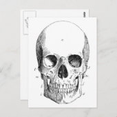 Skull-Diagramm Postkarte (Vorne/Hinten)
