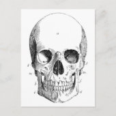Skull-Diagramm Postkarte (Vorderseite)