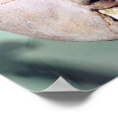 Skull, from Jericho, 7000-6000 BC Poster (Ecke)