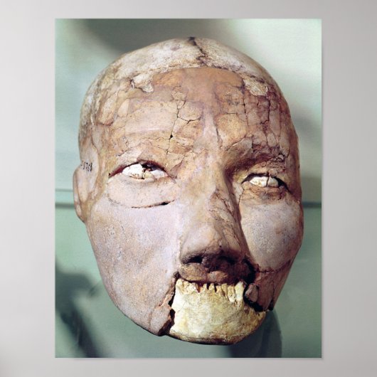 Skull, from Jericho, 7000-6000 BC Poster (Vorne)