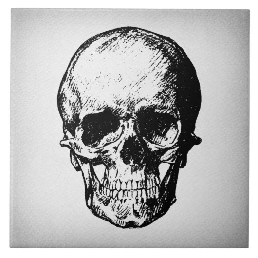 Skull Illustration Vintag Art Fliese (Vorderseite)