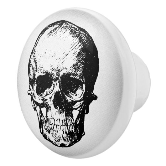 Skull Illustration Vintag Art Keramikknauf (Rechts)