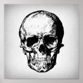 Skull Illustration Vintag Art Poster (Vorne)