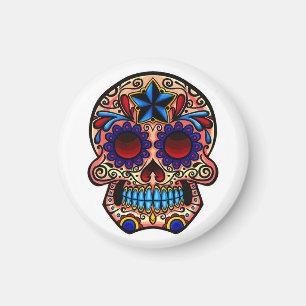 Skull/Magnet Magnet