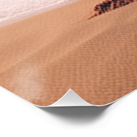 Skull on the beach poster (Ecke)