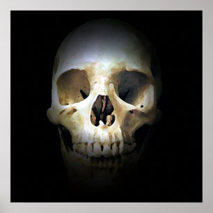 Skull Pop Art Print Poster - Skulls Posters Prints