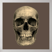 Skull Pop Art Sepia Retro