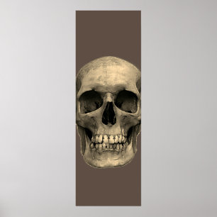 Skull Pop Art Sepia Retro Poster