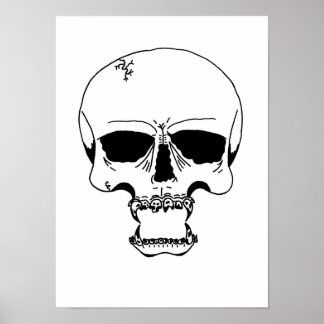 Skull-Print Poster