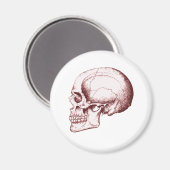 Skull Sid eRed Magnet (Vorderseite/Rückseite)