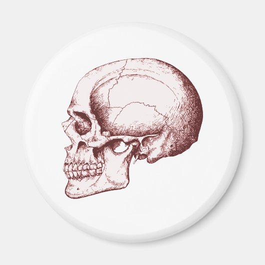 Skull Sid eRed Magnet (Vorne)