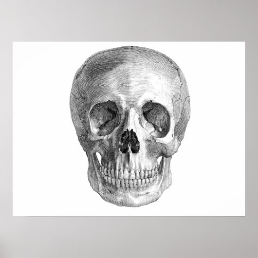 Skull Sketch perfekt für Halloween-Party Bedürfnis Poster (Vorne)