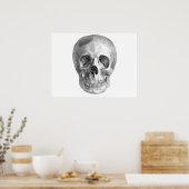 Skull Sketch perfekt für Halloween-Party Bedürfnis Poster (Küche)