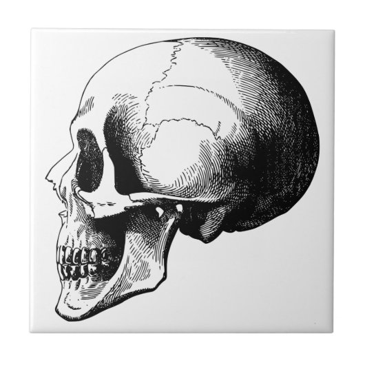 Skull Small (4,25" x 4,25") Keramik Foto Tile Fliese (Vorderseite)