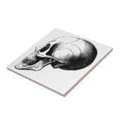 Skull Small (4,25" x 4,25") Keramik Foto Tile Fliese (Seite)